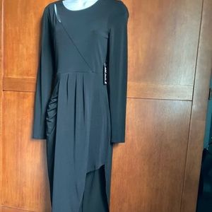 Express Black Long Sleeve Dress